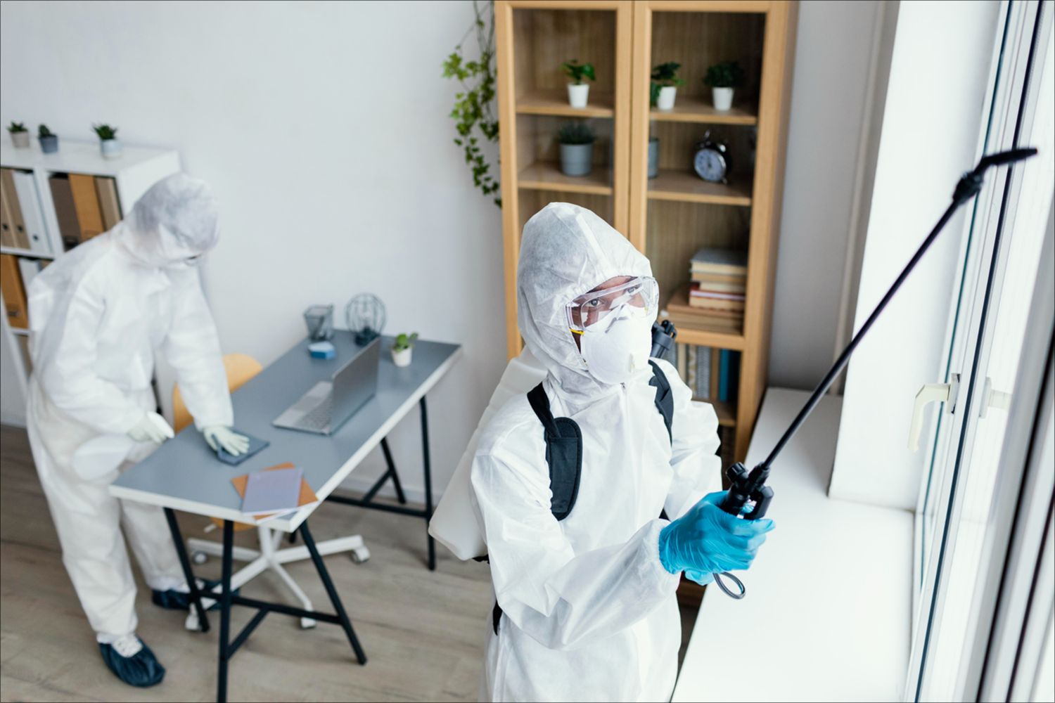 Mold Prevention service in Lakeland, FL by technicians